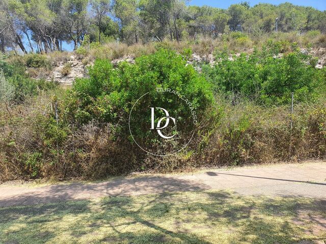 Plot for sale with the possibility of a project of 5 houses in Mas Alba