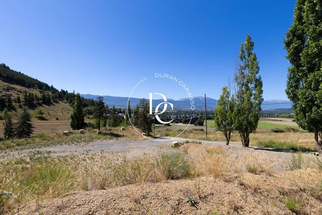 10000 sqm plot for sale in Llívia