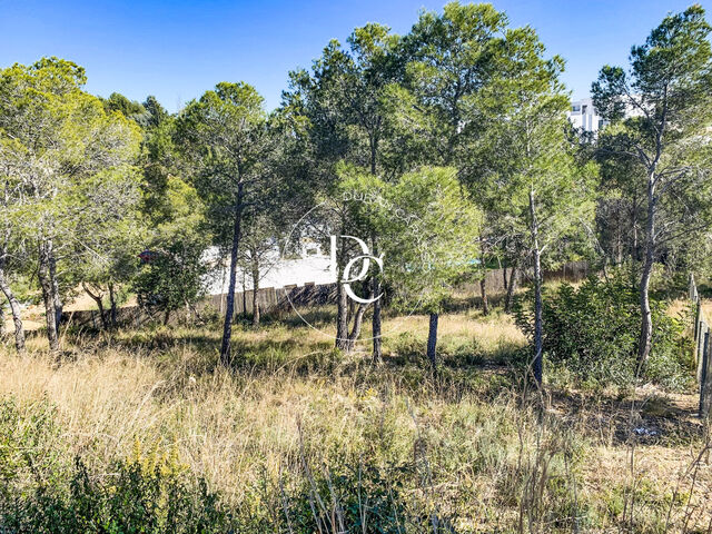 EXCLUSIVE PLOT IN CAN GIRONA - SITGES